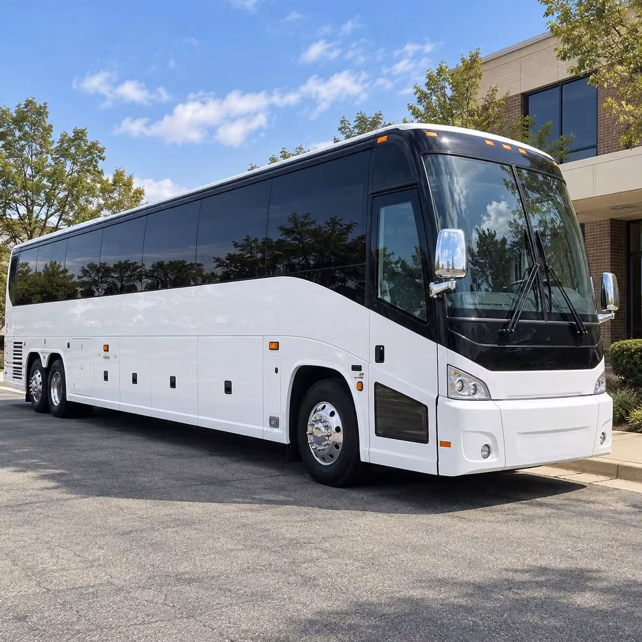 birmingham science and nature field trips made easy with charter bus transportation